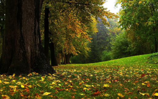 508398 (a): :2560x1600